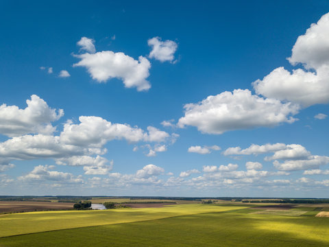 Green endless agricultural fields on a background of blue clouds
