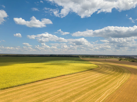 Colorful landscape with endless filds of rapeseed on a blue sky