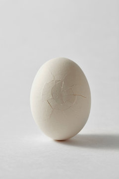 Organic white broken egg on a gray background with space for text. Healthy product
