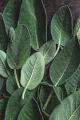 Natural background with sage(Salvia officinalis) leaves, close-up, macro