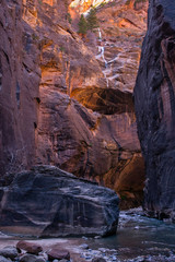 Zion Parco Nazionale National Park Utah USA Stati Uniti Marzo Primavera - 309438671