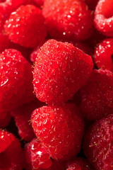 Raw Red Organic Raspberries