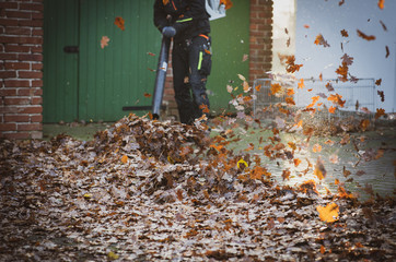 Laubgebläse bläst die Blätter zusammen