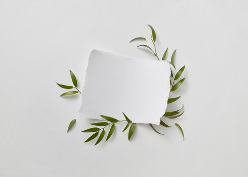A white sheet of paper decorated with fresh green leaves and bra