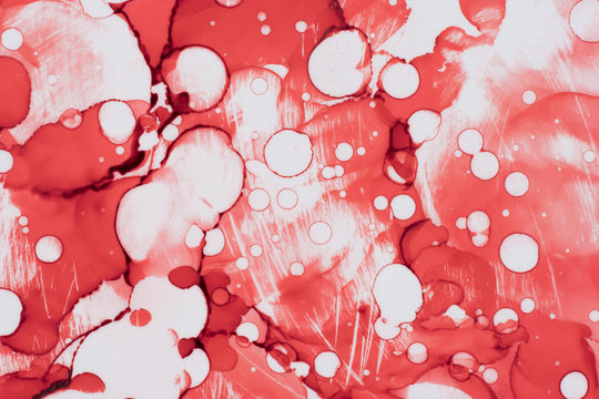 Abstract coral color fluid background
