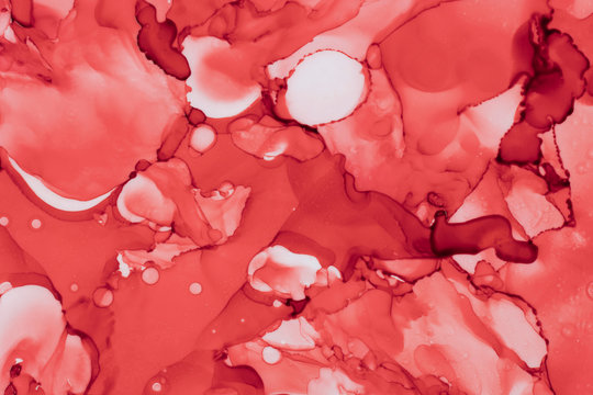 Abstract coral color fluid background