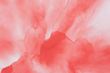 Abstract coral color fluid background