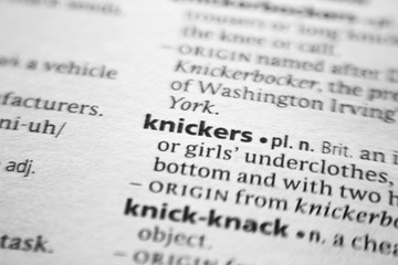 Word or phrase Knickers in a dictionary.