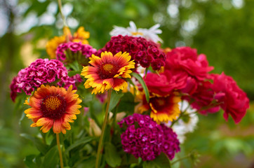 Bouquet of bright red, orange, purple flowers of carnations daisies