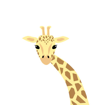 Cute giraffe illustration. Vector illustration in geometric style. Print or Poster Design for Kids, Greeting Card, dishes and clothes.