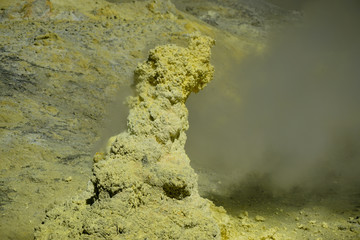 White Island Whakaari in New Zealand Tourism