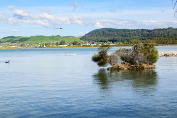 Fototapeta na wymiar Lake Rotorua