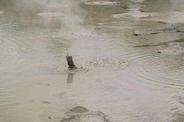 Boiling Mud