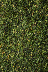 Dried Green Organic Dill Spice