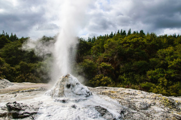 Lady Knox geyser