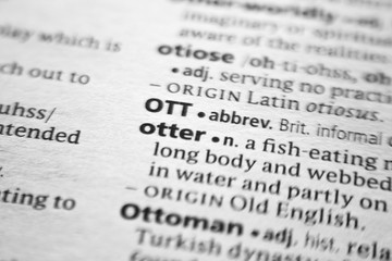 Fototapeta premium Word or phrase Otter in a dictionary.
