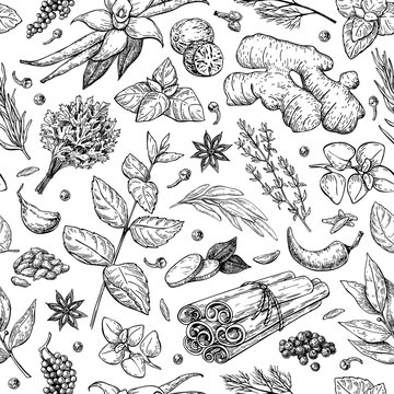 Herbs and spice seamless pattern. Vector drawing background.