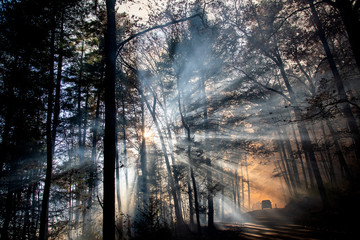 Smoke after forest fire