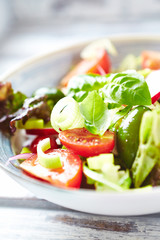 Healthy Salad with Cherry Tomatoes, Green Olives, Radish, Leek, Lettuce and Fresh Basil. Easy summer snack. Close up.