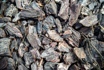 Brown wood shavings, wood chips background. wood chips texture