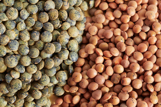 Lentils and Split Peas