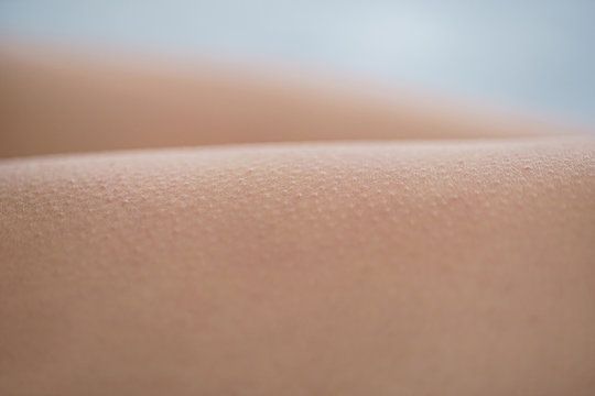Goosebumps and skin reaction to pleasure, enjoyment, arousal and excitement