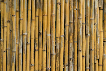 Fototapeta premium Tekstura tło ściana żółty bambusowy płot