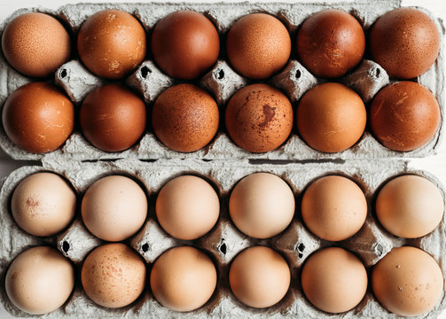 Farm fresh eggs