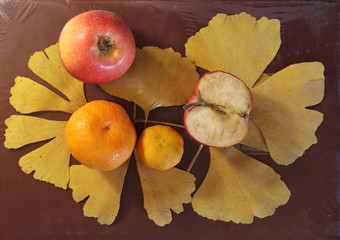 Naklejka na ściany i meble The fruit on the autumn leaves of gingko.