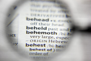 The word or phrase behemoth in a dictionary.