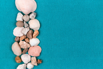 Fototapeta na wymiar Sea shells laid out on a trendy aqua blue background with an empty place for text