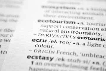 Word or phrase Ecru in a dictionary.