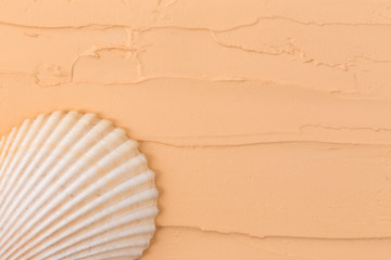 Isolated seashell on a beige background. Close-up of shell