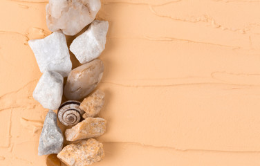 Sea shells laid out on a beige background with an empty place for text