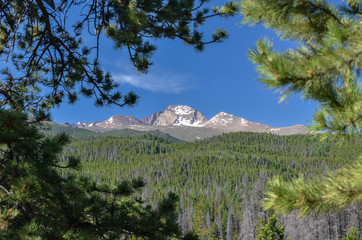 Longs Peak and Mt. Meeker against a blue sky and framed by blurred pine boughs, Rocky Mountain National Park, Colorado, USA