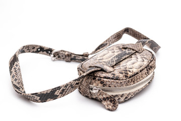Fashion luxury snakeskin python handbag isolated on a white background.