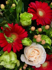 bouquet of christmas flowers