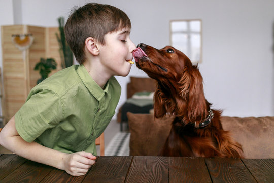 Boy-dog fun