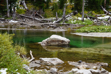 A beautiful emerald colored pool was created on the forest floor from the summer snow melt.