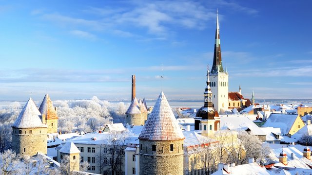 Tallinn city. Estonia. Snow on trees in winter