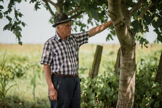 Pensive senior man under tree in countryside