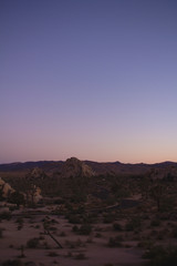 Joshua Tree Road