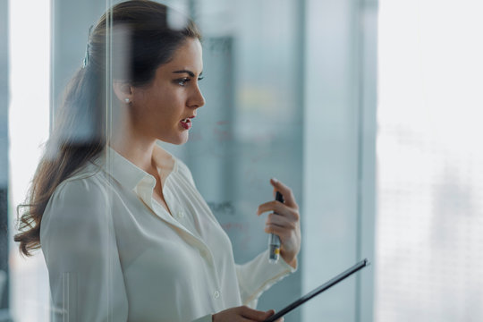 A businesswoman presents