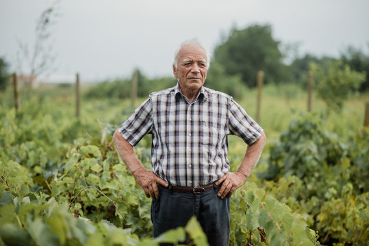 Pensive old man standing alone in green countryside