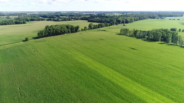 Aerial Over Vast Farm Field Plots With Tree Windbreaking