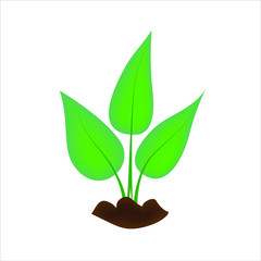 Isolate illustration of green sprout leaves on the ground.  Symbol of ecology, environmental awareness, nature protection concept. 