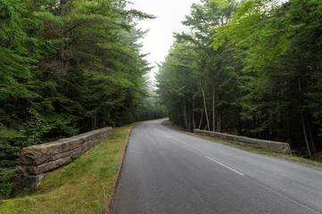 Road Winds Through Acadia National Park