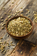 Raw Dry Organic Fennel Seeds
