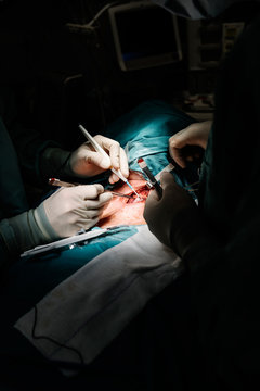 Surgeons operating patient illuminated by surgical lamp