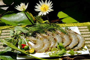 Raw sea prawns and spicy herbs on a white dish.